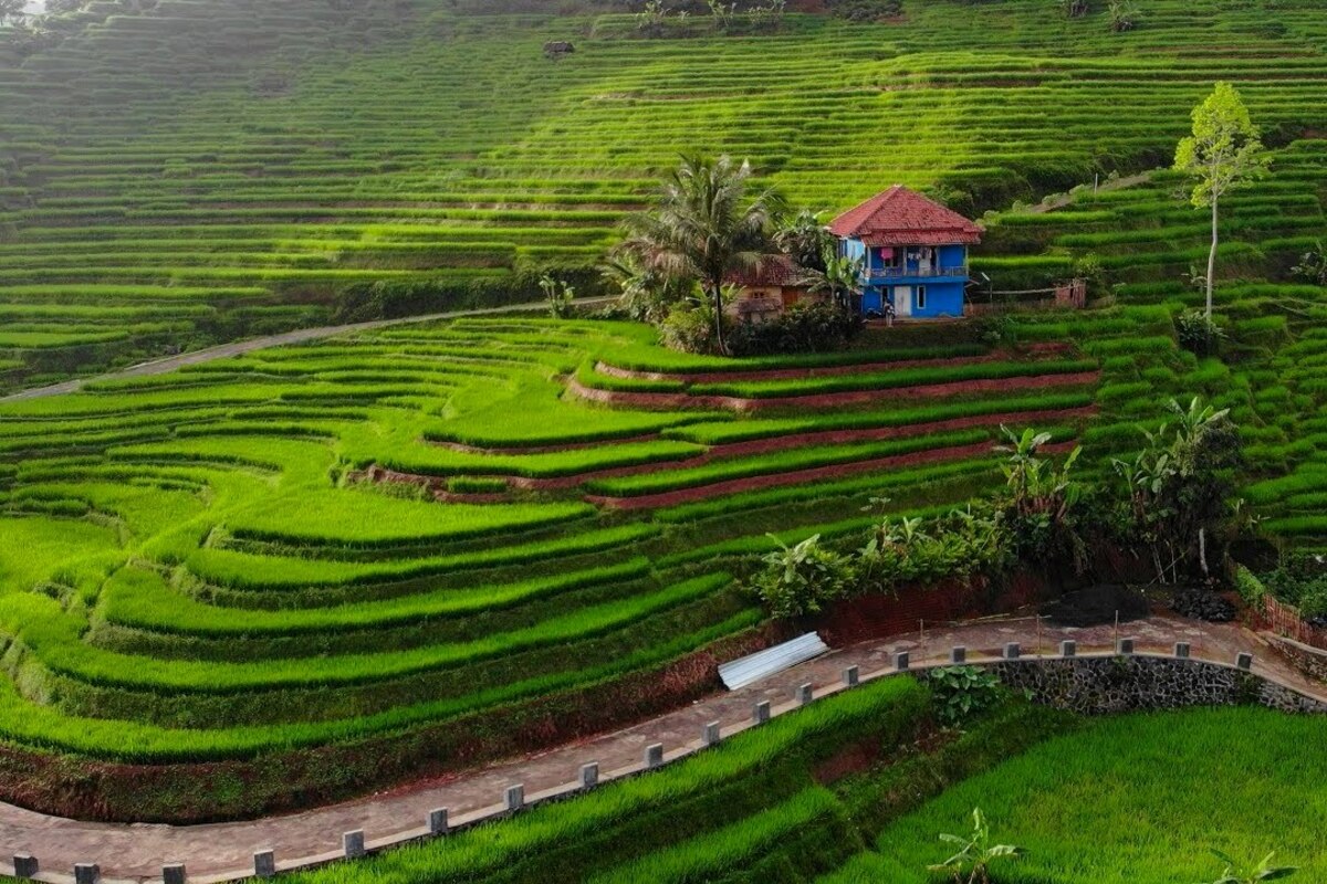 Artikel kali ini membahas mengenai tips dan car untuk meningkatkan skala teknologi digital di desa untuk kemakmuran pedesaan.