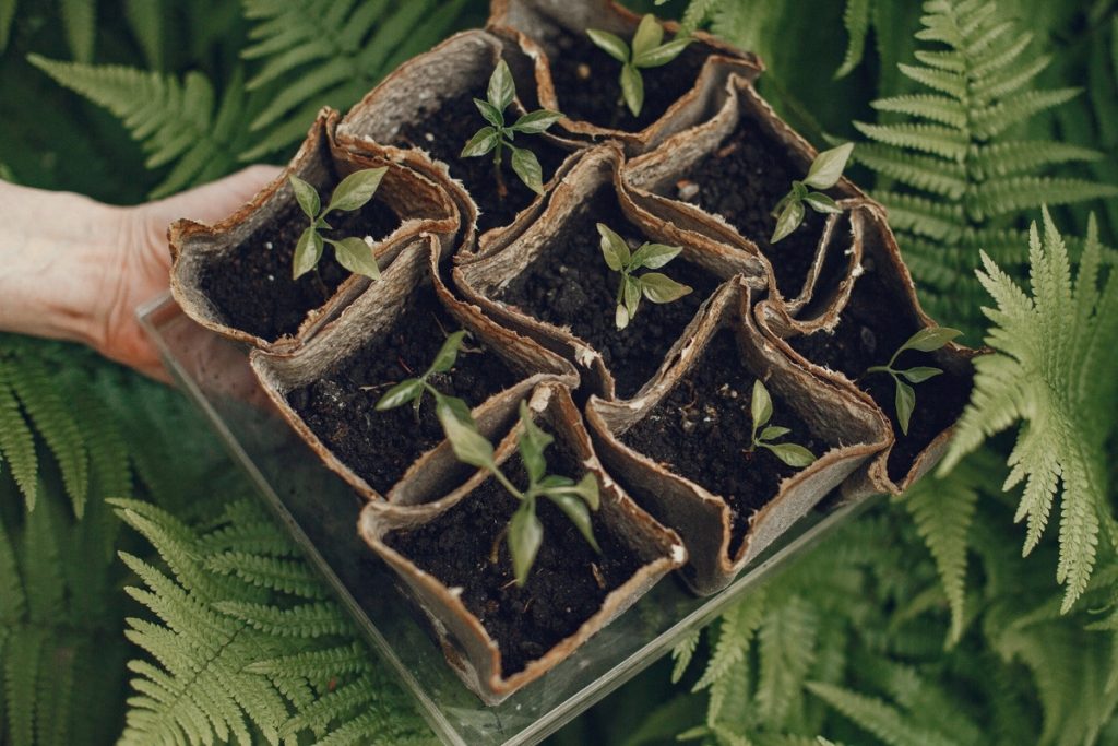 Artikel kali ini membahas tentang beberapa inovasi teknologi baru Jepang yang masih langka dan awam di seluruh dunia.