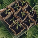 Artikel kali ini membahas tentang beberapa inovasi teknologi baru Jepang yang masih langka dan awam di seluruh dunia.