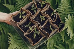 Artikel kali ini membahas tentang beberapa inovasi teknologi baru Jepang yang masih langka dan awam di seluruh dunia.