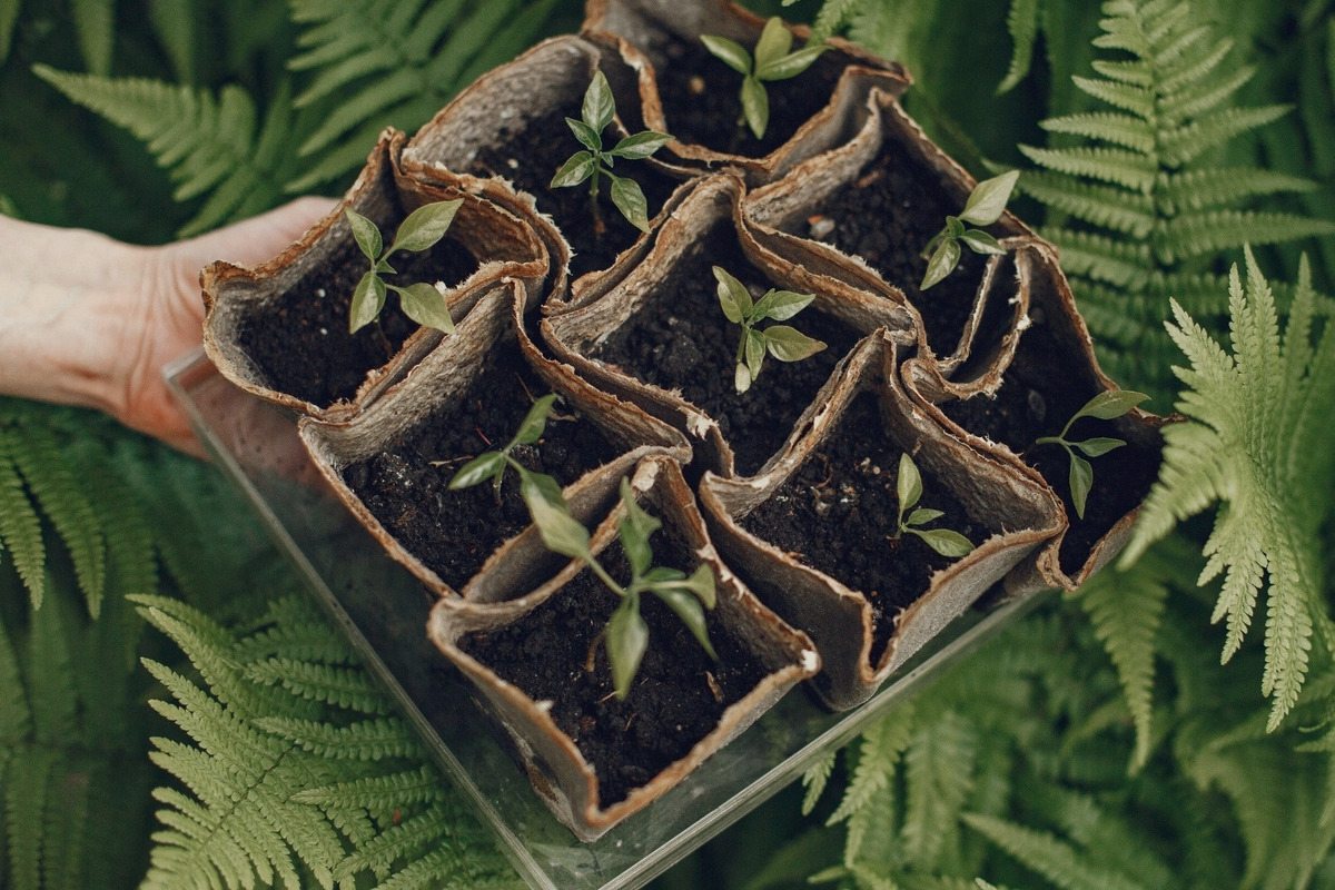 Artikel kali ini membahas tentang beberapa inovasi teknologi baru Jepang yang masih langka dan awam di seluruh dunia.