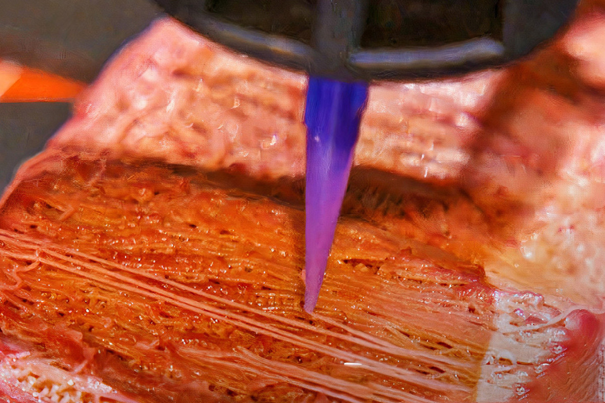 Artikel kali ini sangat menarik karena akan mengupas tentang apa saja teknologi manufaktur makanan tercanggih yang ada di dunia.